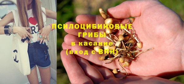 герыч Козельск