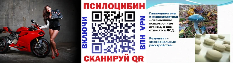 Купить закладки Барабинск Псилоцибиновые грибы прущие грибы